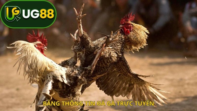 Lỗi phổ biến người mới dể mắc phải