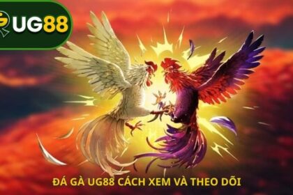 Đá gà UG88 cách xem và theo dõi