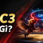 CPC3 Là gì?